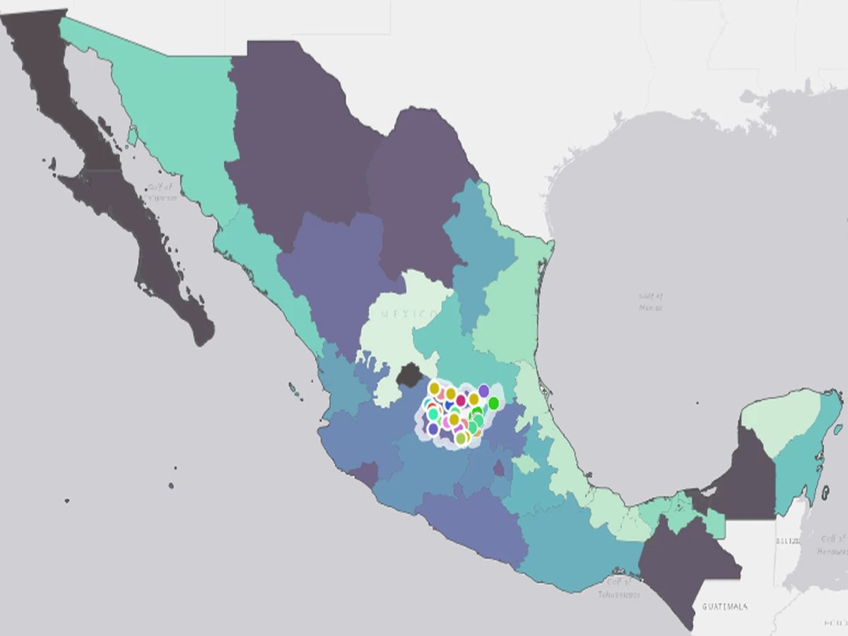 Mapa interactivo de México con servicios y apoyos para personas con discapacidad